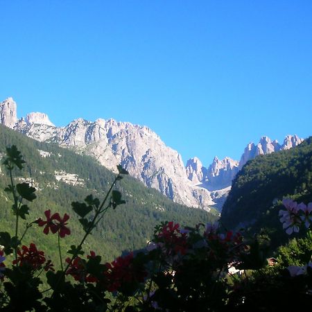 Garni Lago Alpino Molveno Bagian luar foto