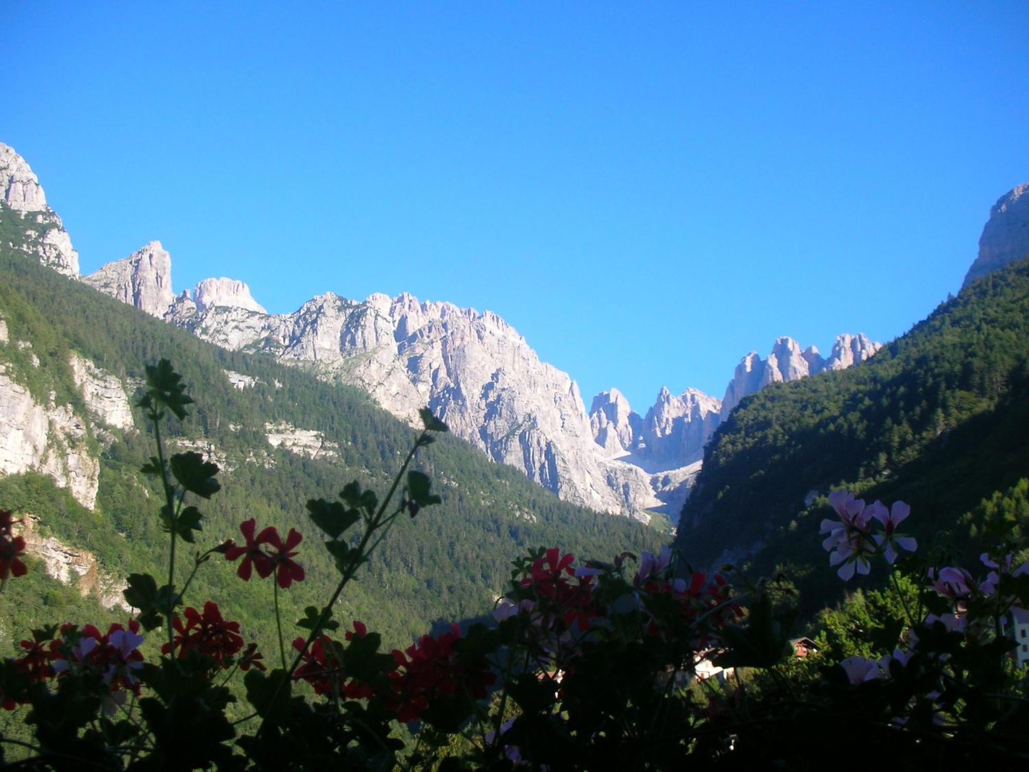 Garni Lago Alpino Molveno Bagian luar foto